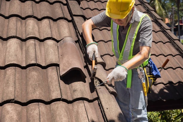 Cost-Effective Roof Replacement Bellevue You’ll Love