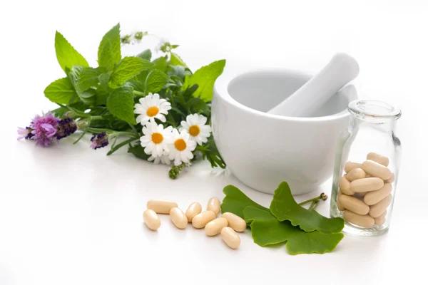 Complete Guide to How Can Plant-Based Supplements Support Stress Management
