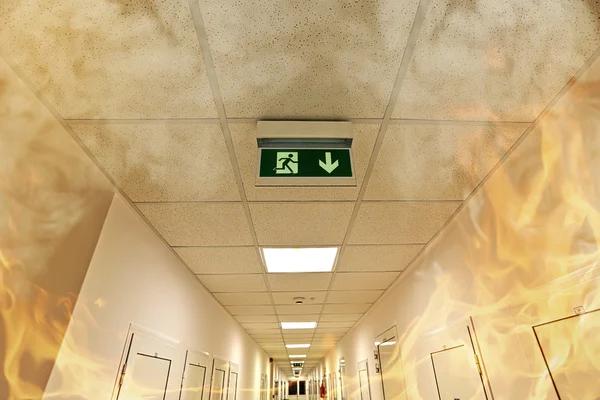 Create a Fire-Resistant Home with These Proven Safety Strategies